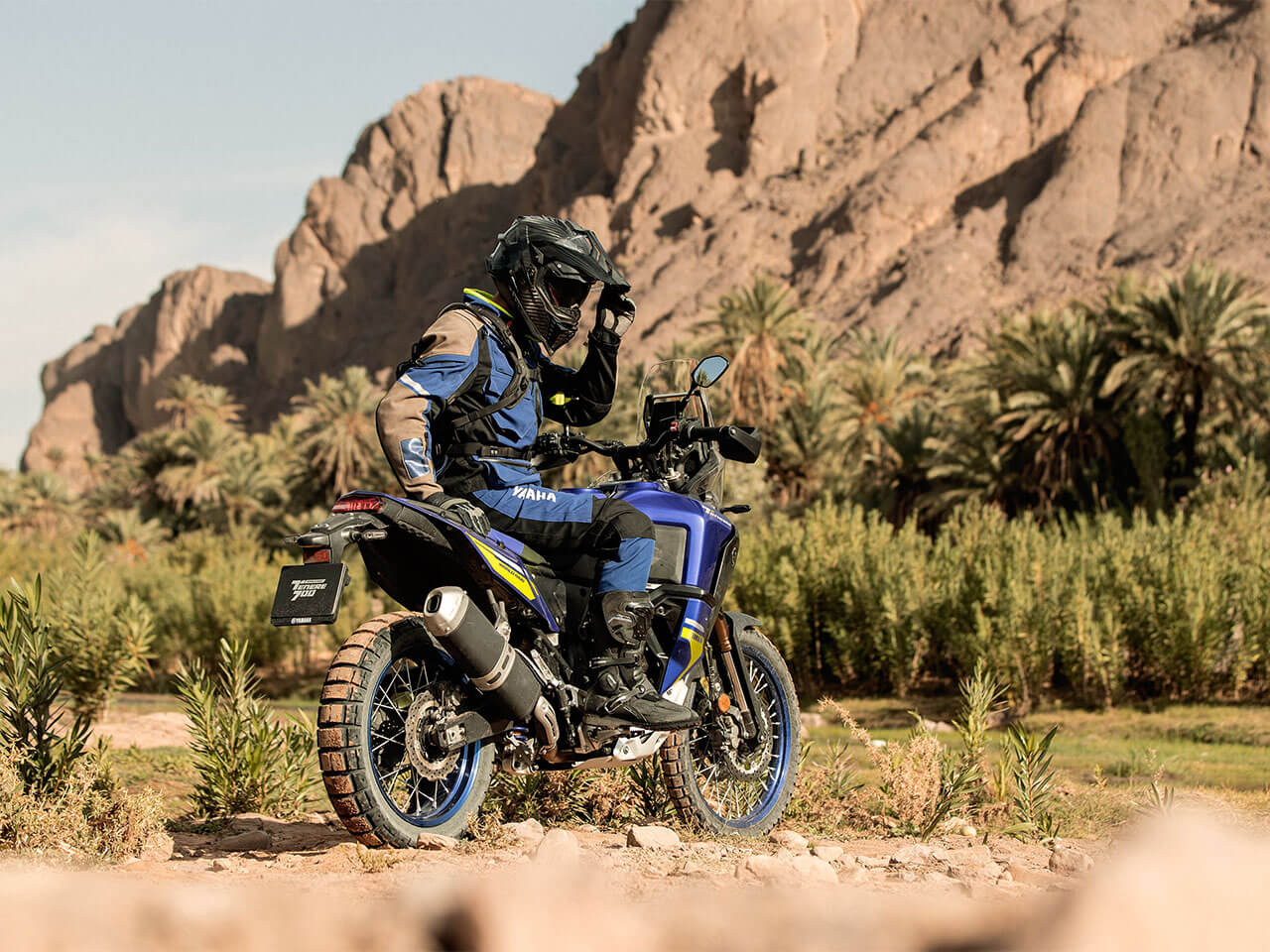 Tenere 700 World Raid