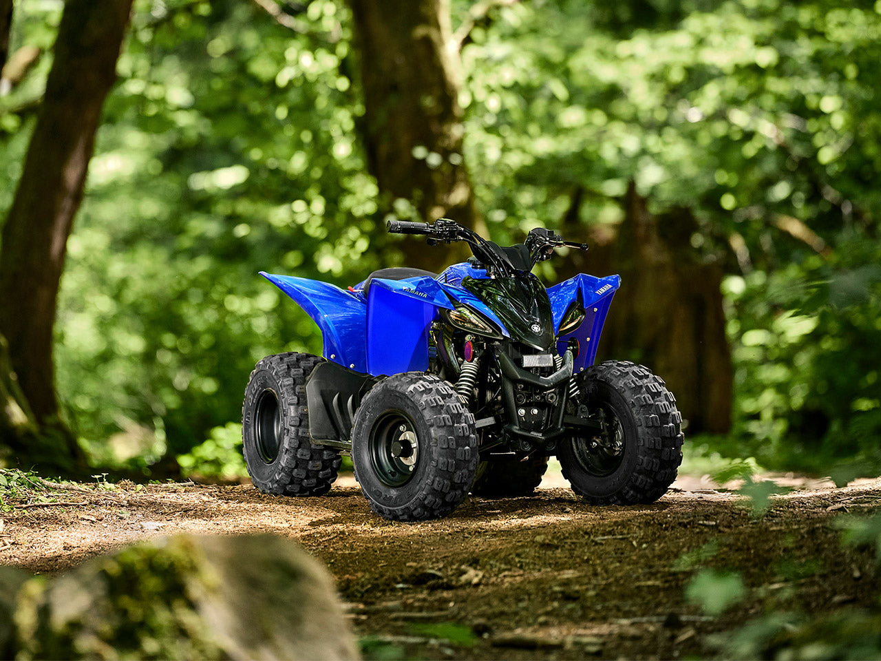 YFZ50