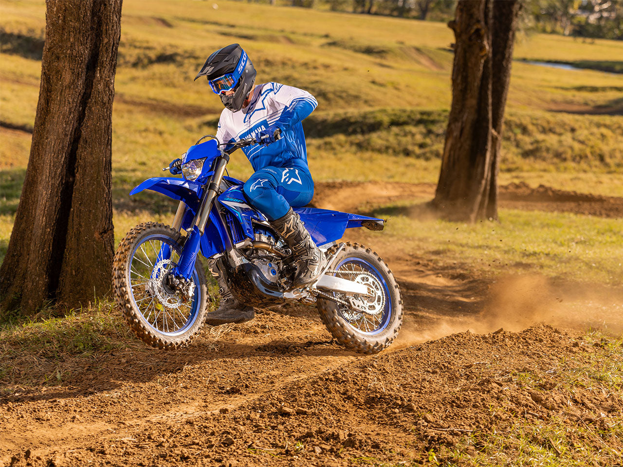 WR450F