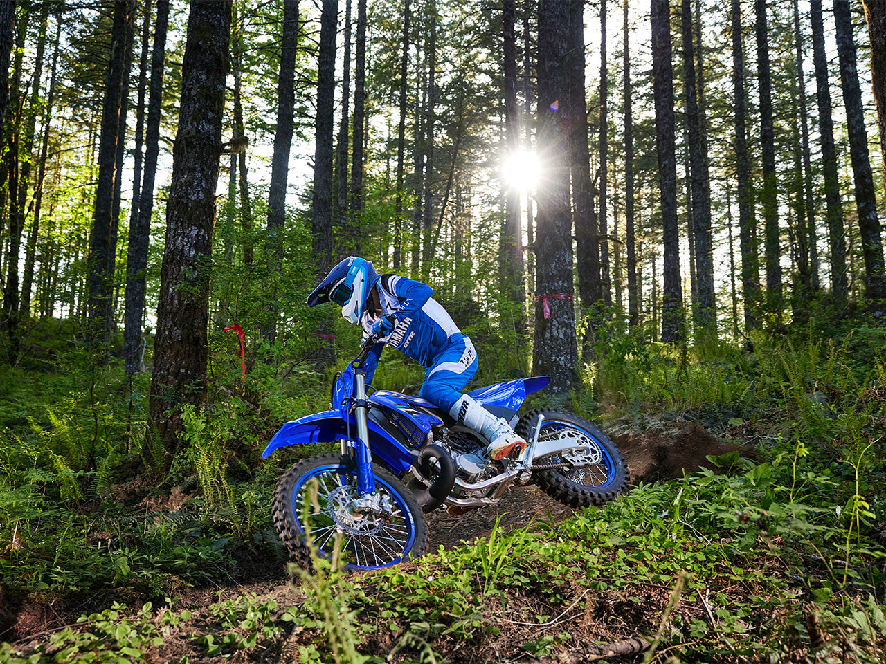 YZ250X