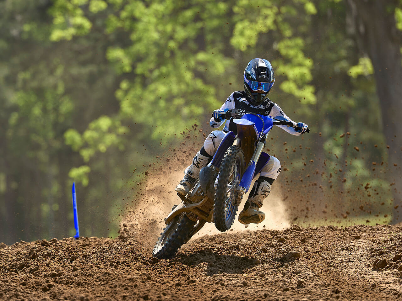 YZ250