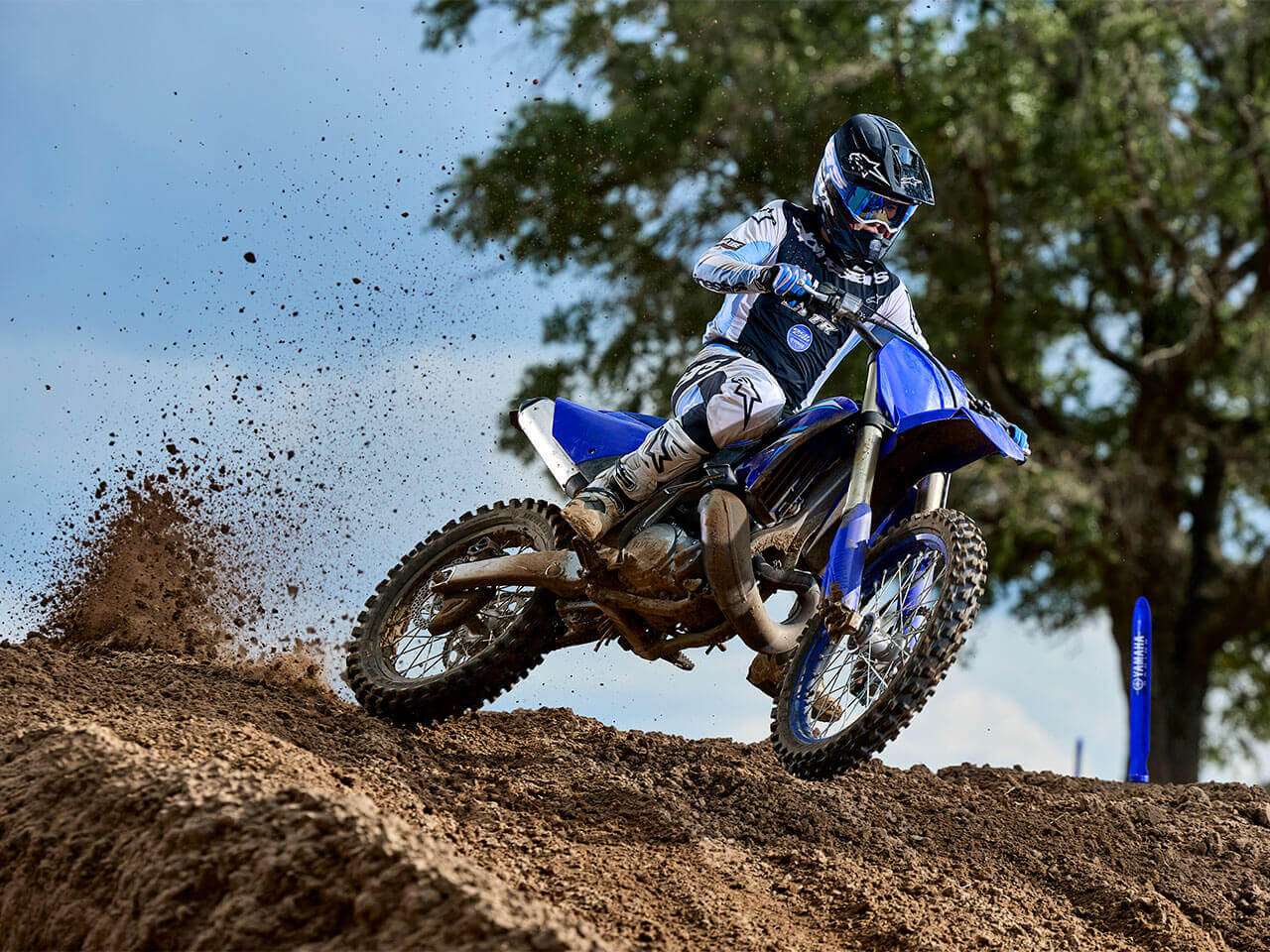 YZ250
