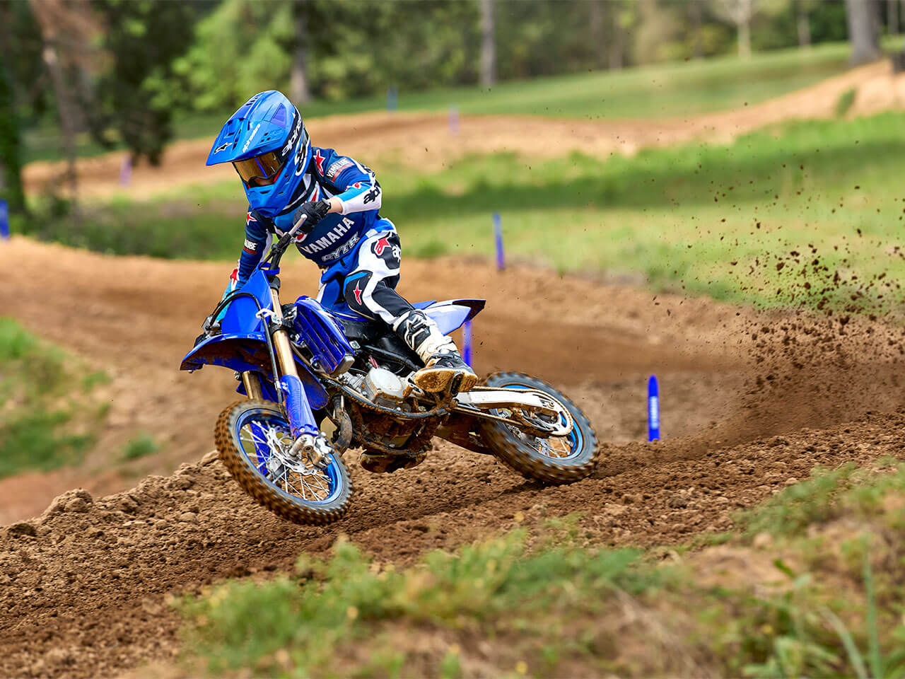 YZ65