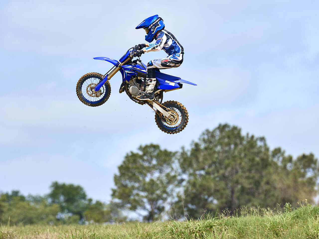 YZ65