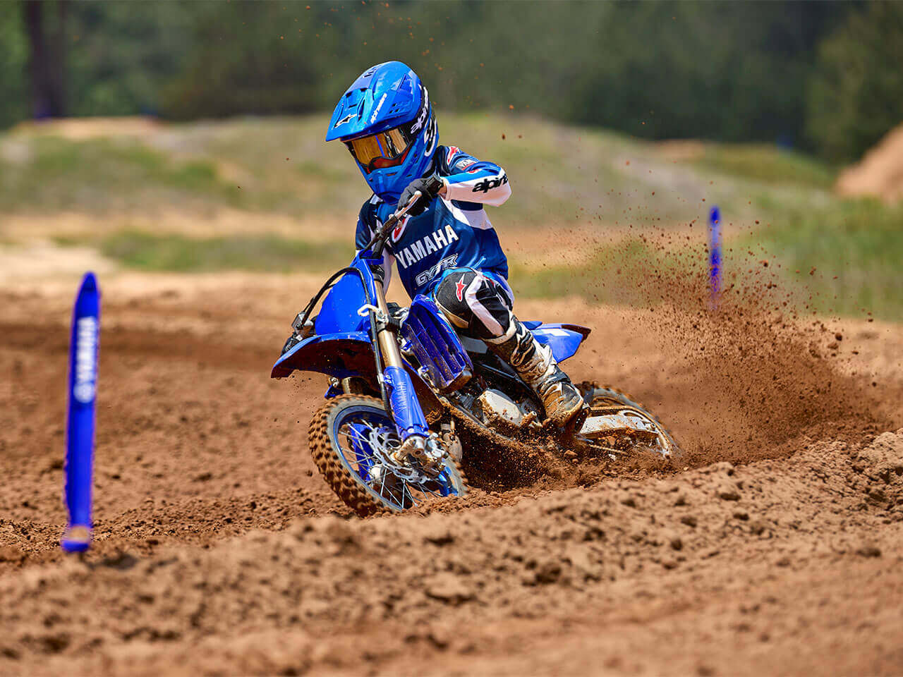 YZ65