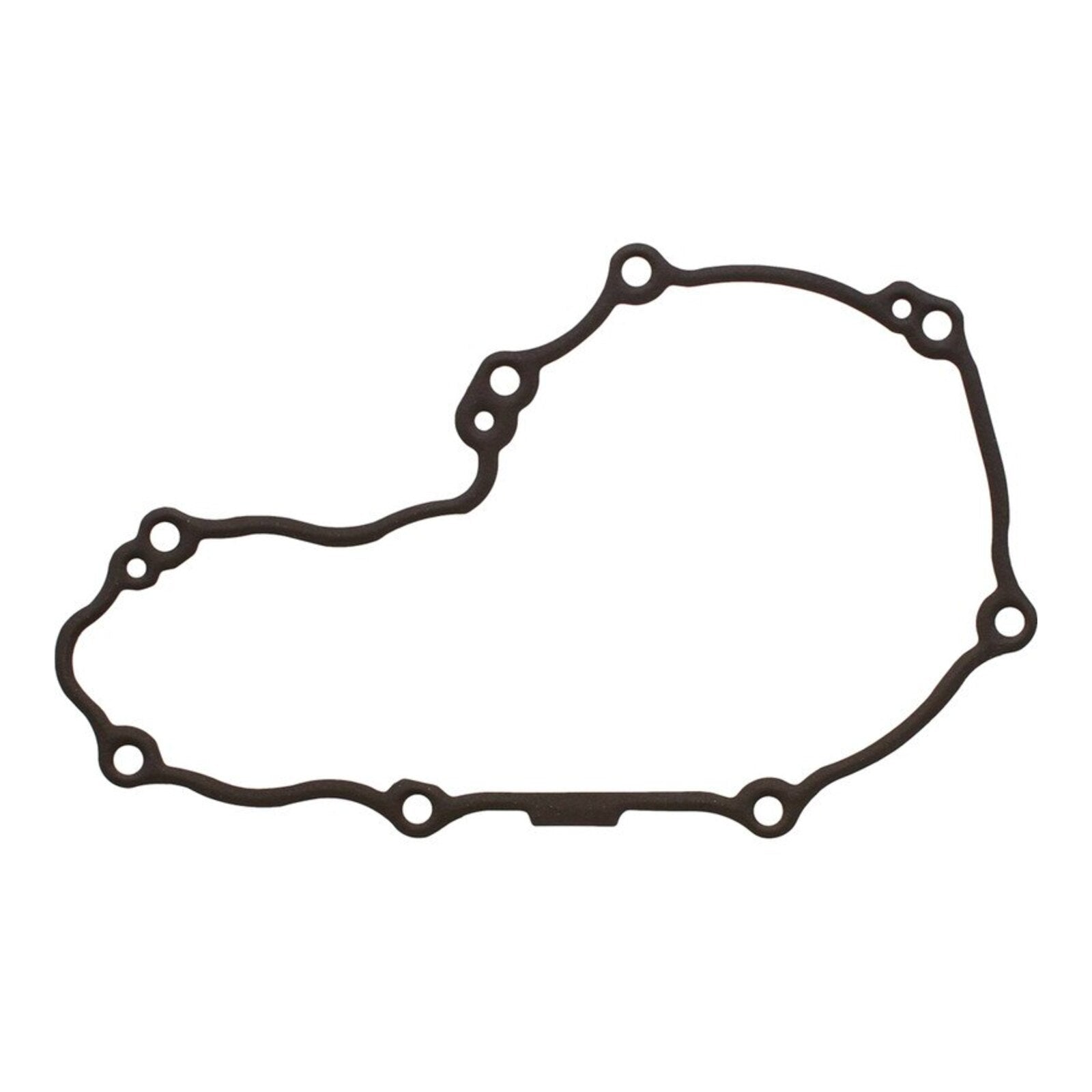 Ignition Cover Gasket Kit 816381