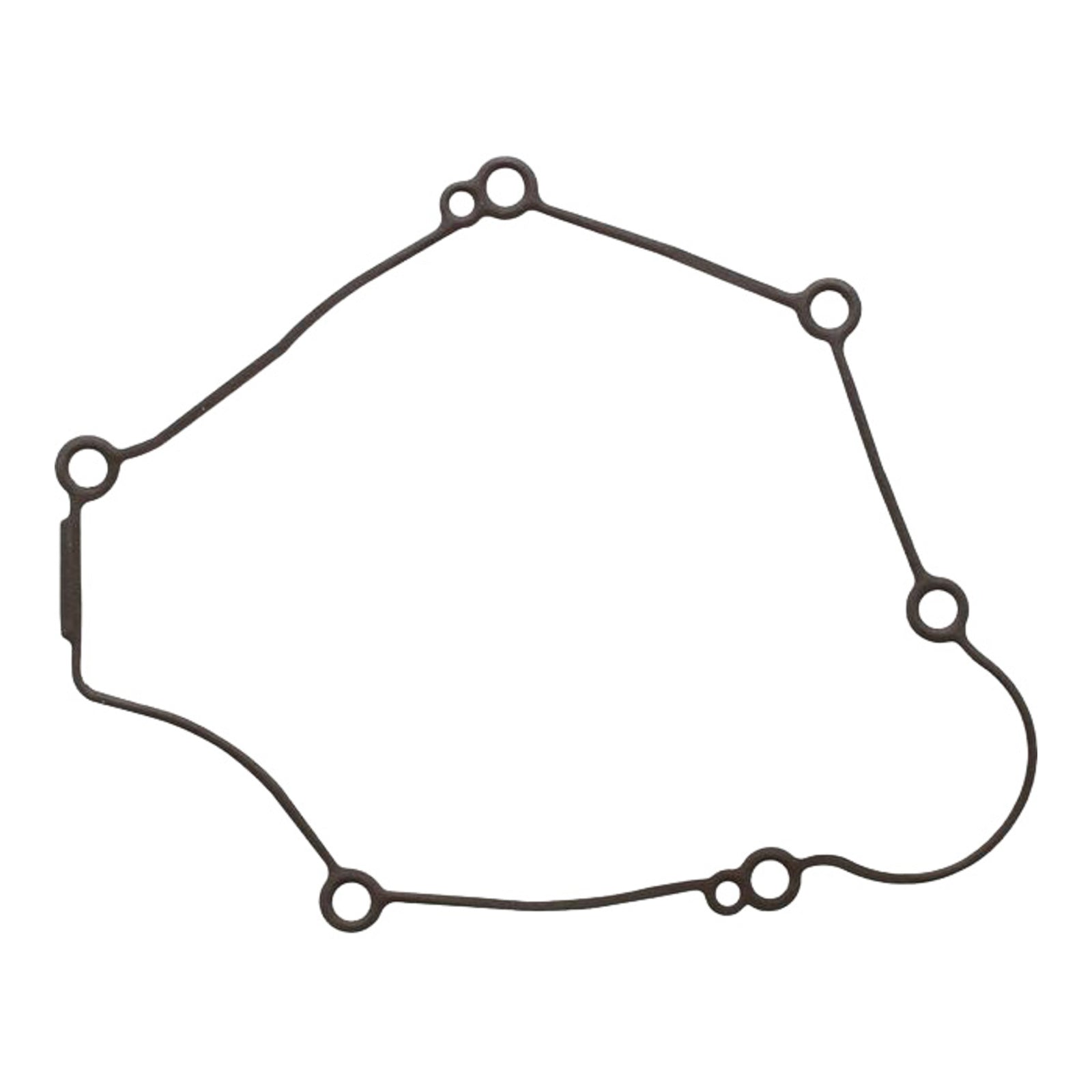 Ignition Cover Gasket Kit 816845